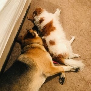 Meet your Posher, Tracy